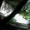 78A5DD00BB7C(garagecam) 1 20161223141008 434