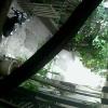 78A5DD00BB7C(garagecam) 1 20161223113648 204