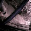 78A5DD00BB7C(garagecam) 1 20161223133255 330