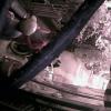 78A5DD00BB7C(garagecam) 1 20161223121712 257