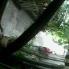 78A5DD00BB7C(garagecam) 1 20161223145020 498