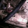 78A5DD00BB7C(garagecam) 1 20161223121706 256