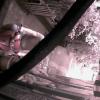 78A5DD00BB7C(garagecam) 1 20161223115356 223