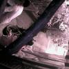 78A5DD00BB7C(garagecam) 1 20161223121240 248