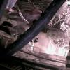 78A5DD00BB7C(garagecam) 1 20161223121653 254